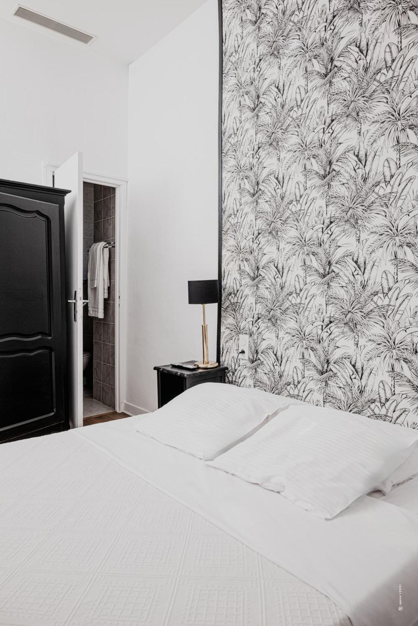 Hotel Moderne Et Pigeon Limoux Exterior photo